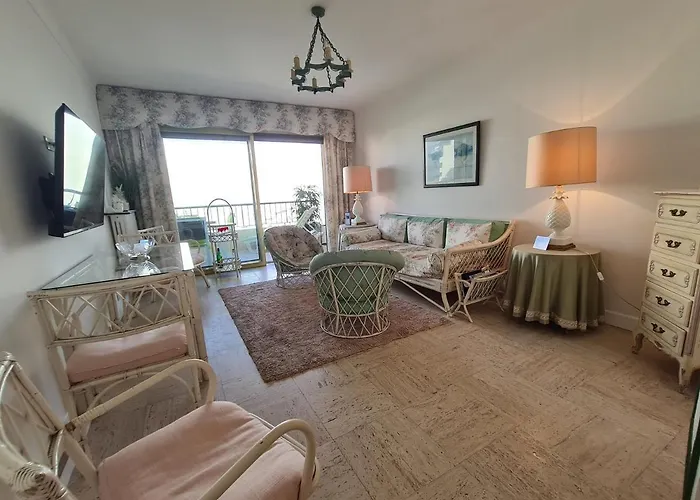 T3 Le President Proche Pinede Antibes