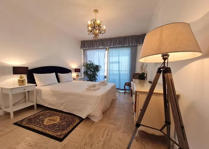 T3 Le President Proche Pinede * Antibes