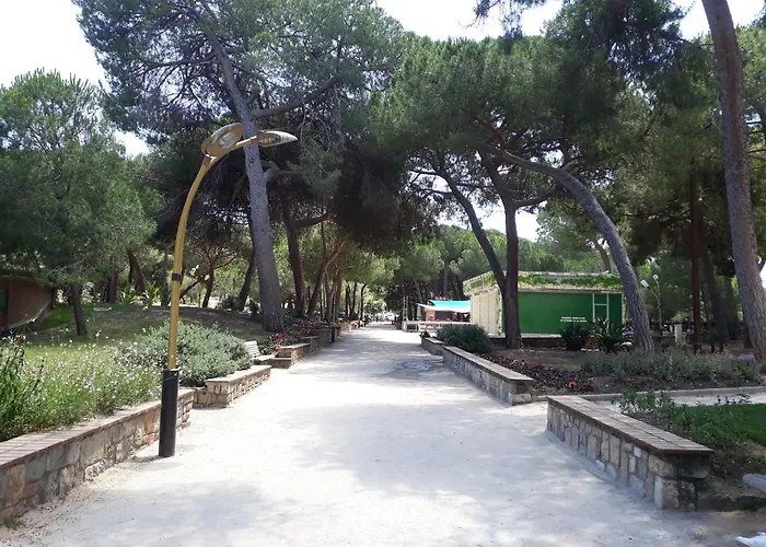 T3 Le President Proche Pinede Antibes