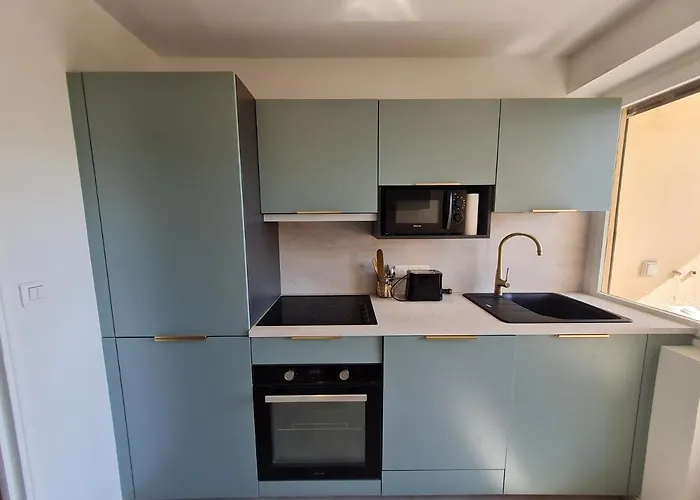 Apartman T3 Le President Proche Pinede Antibes